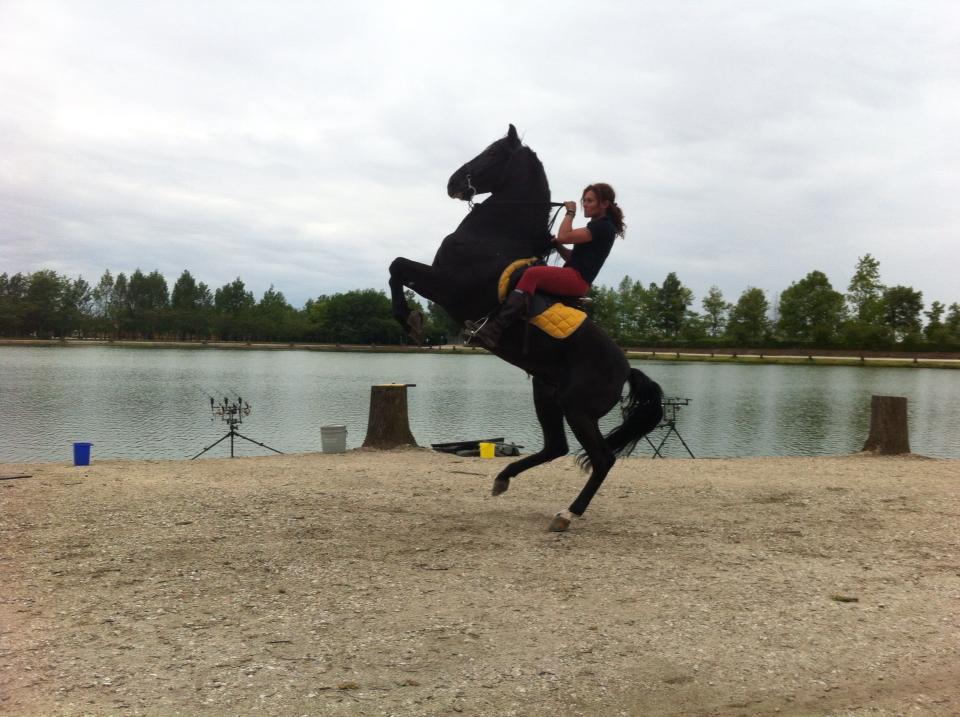 carpfising 19-05-20013 - 405624518345831562677922055429n.jpg